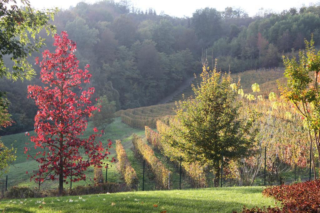 B&B Bricco Fiore Briaglia Exteriör bild